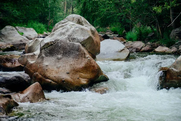 Scenic Landscape Beautiful Mountain Creek Green Water Lush Thickets Forest — Stock Photo, Image