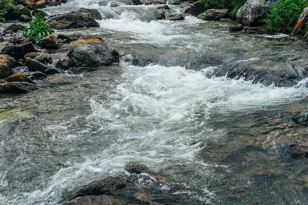 Piękny Krajobraz Kamieniami Riffle Wody Górskiej Rzeki Potężny Strumień Wody — Zdjęcie stockowe