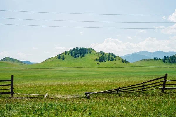 Schöne Sonnige Landschaft Mit Grünem Waldberg Und Riesigem Feld Hinter — Stockfoto