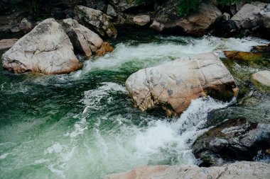 Dağ deresi çağlayanlarıyla birlikte doğanın arka planı. Yeşil suları olan güzel dağ dereleri olan manzaralı bir yer. Küçük bir nehirde yeşil suyu olan cennet manzarası. Hızlı su akışı yakın çekim.