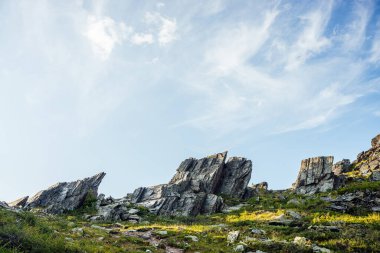 Sivri şekilli bilenmiş taşlarla güneşli dağlık bir manzara. Muhteşem manzaralı dağ manzarası büyük çatlamış sivri taşlarla mavi gökyüzünün altında çimlerin arasında güneş ışığı altında. Çatallı keskin kayalar.