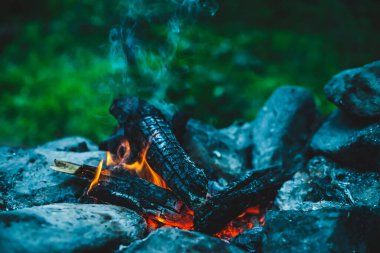 Yanan odun odunları yakın plan ateşte yanmış. Atmosferik sıcak arka plan, turuncu kamp ateşi ve mavi duman. Şenlik ateşinin hayal edilemez tam kare görüntüsü. Güzel ateşte yanan odunlar.