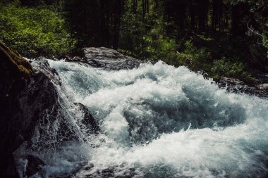 Güçlü dağ nehrinin büyük akıntıları. Hızlı nehirde masmavi suyla güzel bir arka plan. Yüksek dağ nehri akıntılarının donmuş hareketi. Dağların görkemli doğası. Su türbülansının arkaplanı