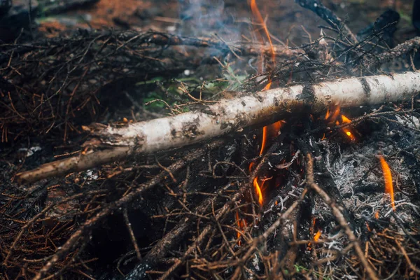 Branden Brandhout Brand Steken Van Dichtbij Sfeervolle Warme Achtergrond Met — Stockfoto