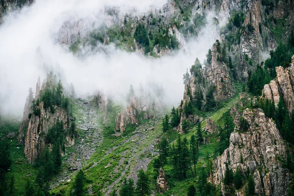 Scharfe Steine Des Felsigen Berges Mit Nadelbäumen Dichten Nebel Niedrige — Stockfoto