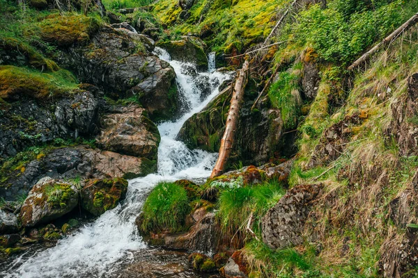 Paisagem Cênica Com Bela Cachoeira Floresta Entre Vegetação Rica Paisagem — Fotografia de Stock