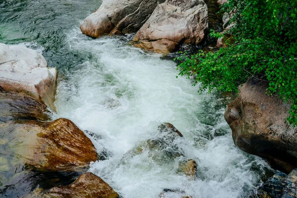 Живописный Пейзаж Красивым Горным Ручьем Зеленой Водой Среди Пышных Зарослей — стоковое фото