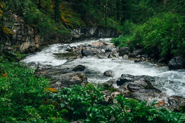 Atmosférická Zelená Lesní Krajina Horským Potokem Skalnatém Údolí Krásná Tajemná — Stock fotografie