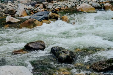 Dağ deresi çağlayanlarıyla birlikte doğanın arka planı. Yeşil suları olan güzel dağ dereleri olan manzaralı bir yer. Küçük bir nehirde yeşil suyu olan cennet manzarası. Hızlı su akışı yakın çekim.