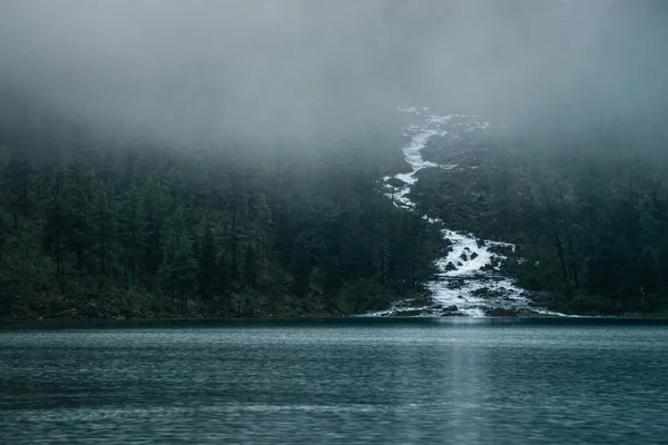 Highland Creek Ρέει Μέσα Από Δάσος Και Ρέει Ορεινή Λίμνη — Φωτογραφία Αρχείου