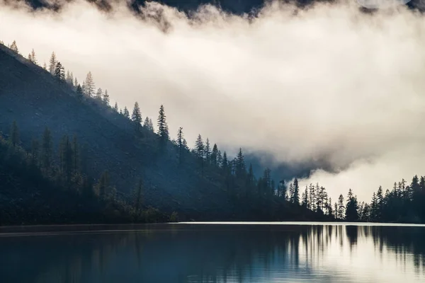 Sylwetki Szpiczastych Wierzchołków Jodły Zboczu Górskiego Jeziora Gęstej Mgle Odbicie — Zdjęcie stockowe
