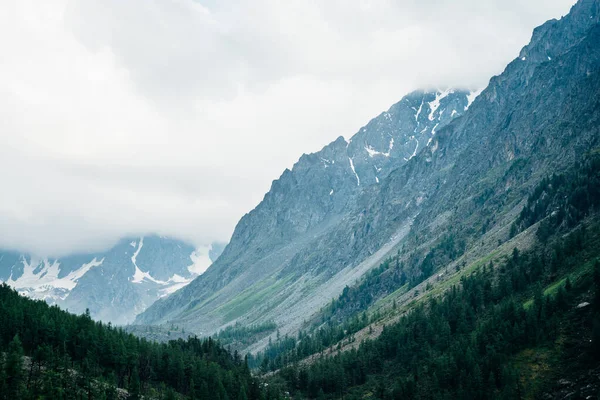 Mooie Grote Gletsjer Achter Naaldbos Heuvel Onder Bewolkte Hemel Lage — Stockfoto