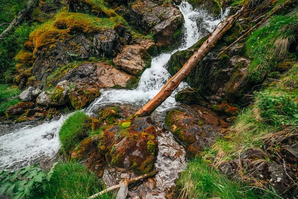 Paisagem Cênica Com Bela Cachoeira Floresta Entre Vegetação Rica Paisagem — Fotografia de Stock