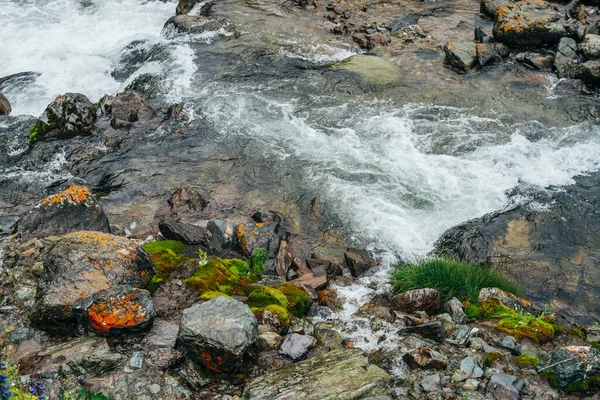 Maravilloso Fondo Escénico Con Rica Flora Cerca Del Río Montaña —  Fotos de Stock