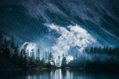 Sivri uçlu köknar siluetleri dağ yamacı boyunca yoğun siste. Parlak sakin suda kozalaklı ağaçların yansıması. Sabahın erken saatlerinde Alp sakin manzarası. Hayaletli atmosfer manzarası