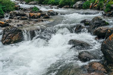 Dağ nehrinde büyük taşlar olan atmosferik bir manzara. Dağ deresindeki kayalar arasında akıntılı güçlü bir su akıntısı. Dağlık derede kayaların arasında hızlı akış. Küçük nehri olan güzel bir manzara