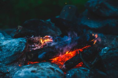 Yanan odun odunları yakın plan ateşte yanmış. Atmosferik sıcak arka plan ve turuncu kamp ateşi. Şenlik ateşinin hayal edilemez tam kare görüntüsü. Güzel ateşte odun yakmak. Harika alev.