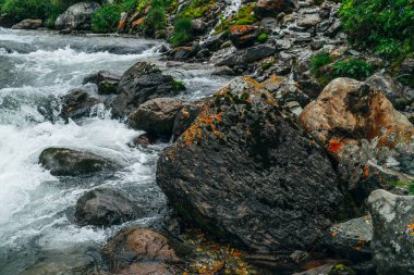 Dağ nehrinin yanındaki yosunlu taşlarla muhteşem manzara. Büyük kaya üzerinde yeşil yosun ve turuncu liken. Küçük nehrin yanındaki zengin bitki örtüsü arasında. Dağ deresi yakınlarında taze yeşillik, akıntılı..