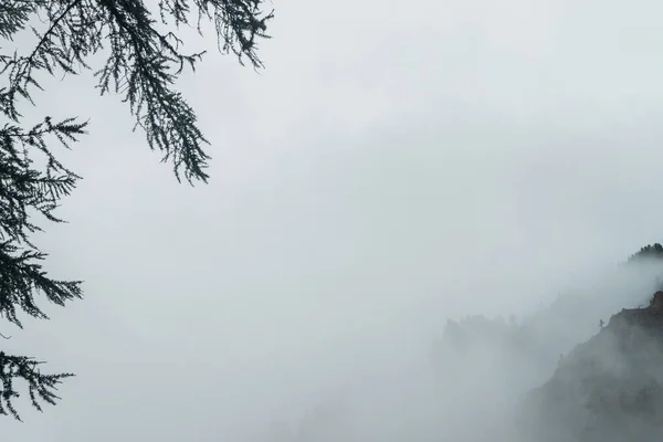 Ghostly Alpský Pohled Přes Větve Nízké Mraky Krásné Skály Hustá — Stock fotografie