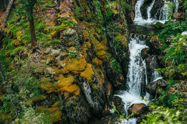 Paisagem Cênica Com Bela Cachoeira Floresta Entre Vegetação Rica Água — Fotografia de Stock