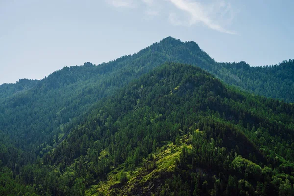 Impresionante Vista Panorámica Las Montañas Verdes Completamente Cubiertas Por Bosque — Foto de Stock