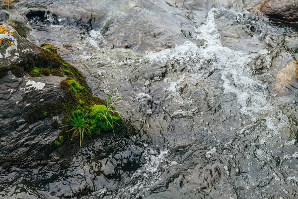苔と山の川の水の急流で地衣類と大きな石 マウンテンクリークの強力な水の流れ 山の小川の速い流れの自然なテクスチャの急速な背景 苔むした岩のクローズアップ — ストック写真