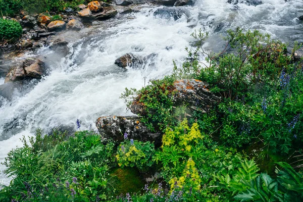 Свежая Зелень Мшистых Скалах Возле Горного Ручья Порогами Прекрасный Живописный — стоковое фото