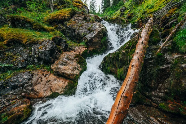 Paisagem Cênica Com Bela Cachoeira Floresta Entre Vegetação Rica Paisagem — Fotografia de Stock