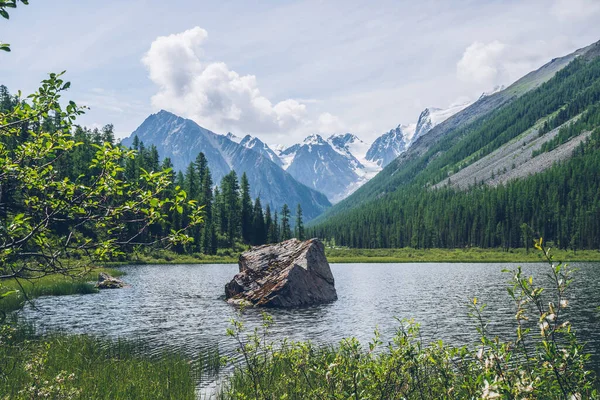 View from clear creeks 澄んだ小川の景色