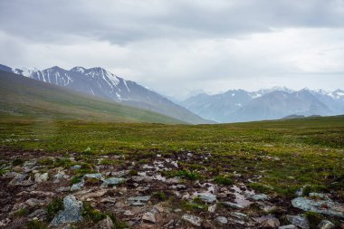 Bulutlu gri gökyüzünün altında geçitten büyük karlı dağlara güzel bir manzara. Yağmurlu havada kar dağlarıyla dramatik dağlık arazi. Bulutlu bir günde dev dağ sırtı ile atmosferik manzara.