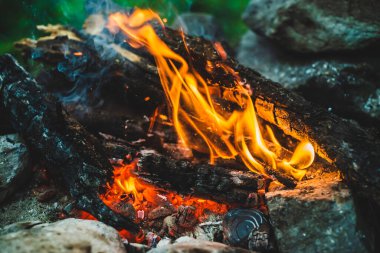 Yanan odun odunları yakın plan ateşte yanmış. Atmosferik sıcak arka plan, turuncu kamp ateşi ve mavi duman. Şenlik ateşinin mükemmel tam kare görüntüsü. Güzel ateşte yanan odunlar.