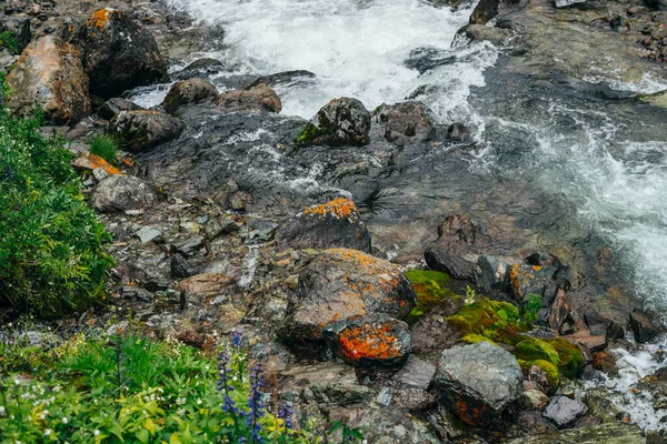 Maravilhoso Fundo Cênico Com Rica Flora Perto Rio Montanha Cenário — Fotografia de Stock