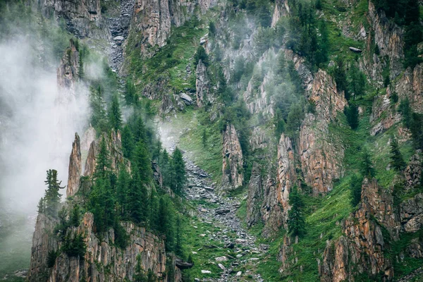 Árboles Coníferas Sobre Piedras Afiladas Montaña Rocosa Densa Niebla Nube — Foto de Stock