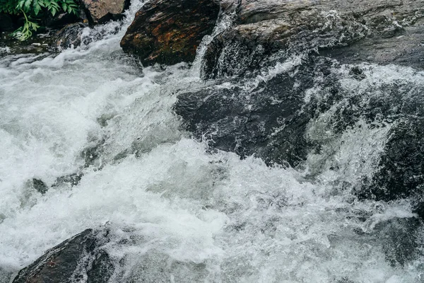 Full frame nature background of water riffle of mountain river. Powerful water stream of mountain creek with rapids. Natural textured backdrop of fast flow of mountain brook. Rapids texture close-up.