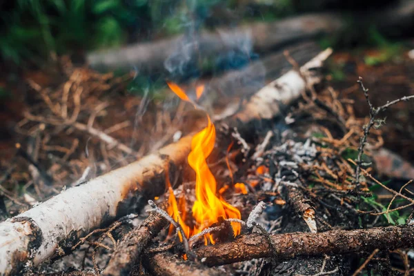 Burning Branches Brushwood Fire Close Atmospheric Warm Background Orange Flame — Stock Photo, Image