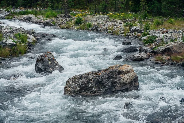 Мощная Горная Река Течет Через Лес Красивый Альпийский Пейзаж Быстрой — стоковое фото