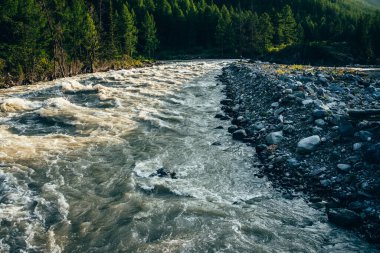 Altın ışıkta güçlü dağ nehrinin güzel manzarası. Dağ nehri boyunca gün ışığında ormanın manzarası. Taş gibi kıyıları olan hızlı nehirde altın akıntılı resimli güneşli bir manzara..