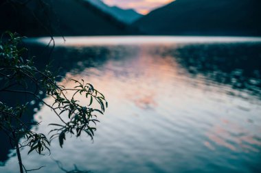 Gün doğumunda Alp Gölü 'nün bulanık arka planında ağaç dallarının inanılmaz silueti. Dağ gölünün rengarenk sakin suyu şafak renginde bulanık. Güneşli bir sabahta canlı suyu olan güzel bir manzara..