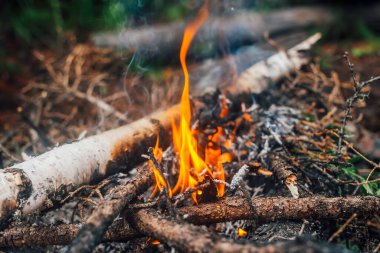 Yakın planda yanan dallar ve çalılar. Atmosferik sıcak arka plan, turuncu kamp ateşi ve mavi duman. Şenlik ateşinin güzel tam kare görüntüsü. Yakacak odun alevler içinde yanıyor..
