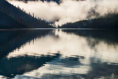 Sivri ağaç siluetleri dağın yamacında yoğun siste. Highland Gölü 'nün sularını sakinleştirmek için çam refleksi. Sabahın erken saatlerinde Alp sakin manzarası. Hayaletli atmosfer manzarası.