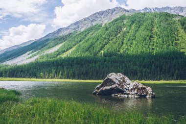 Dağın arka planındaki vadide ormanlı taşlı güzel göle meditasyon manzarası. Dağ gölünde büyük yosunlu taşlarla rahatlatıcı yeşil bir manzara. Alp Gölü 'nde su üzerinde dalgalanmalar.