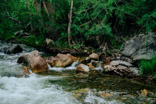 Paisaje Escénico Con Hermoso Arroyo Montaña Con Agua Verde Entre — Foto de Stock