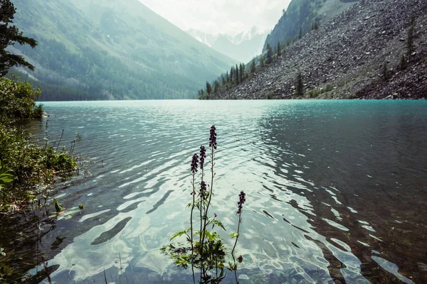 Vista Surpreendente Para Ondulações Meditativas Água Calma Clara Azul Lago — Fotografia de Stock