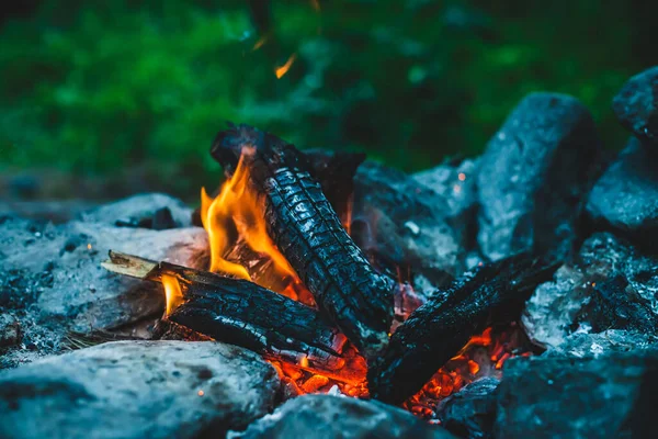 Yanan odun odunları yakın plan ateşte yanmış. Atmosferik sıcak arka plan ve turuncu kamp ateşi. Şenlik ateşinin hayal edilemez tam kare görüntüsü. Güzel ateşte odun yakmak. Harika alev.