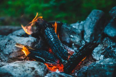 Yanan odun odunları yakın plan ateşte yanmış. Atmosferik sıcak arka plan ve turuncu kamp ateşi. Şenlik ateşinin hayal edilemez tam kare görüntüsü. Güzel ateşte odun yakmak. Harika alev.