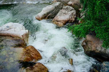 Ormandaki gür çalılıkların arasında yeşil suyu olan güzel bir dağ deresi olan manzaralı bir yer. Küçük nehri ve zengin yeşilliği olan yeşil bir manzara. Dağ deresinde yeşil su, vahşi bitki örtüsünün arasında..