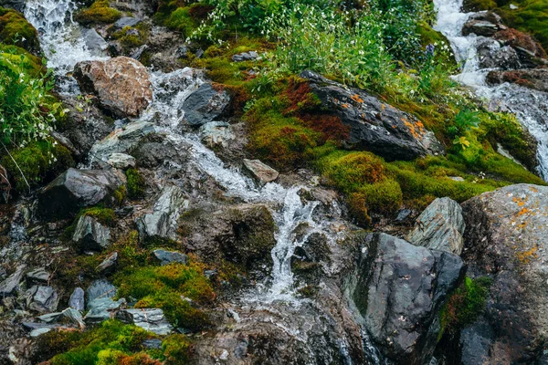 Paisagem Cênica Com Fluxo Água Nascente Clara Entre Musgo Grosso — Fotografia de Stock