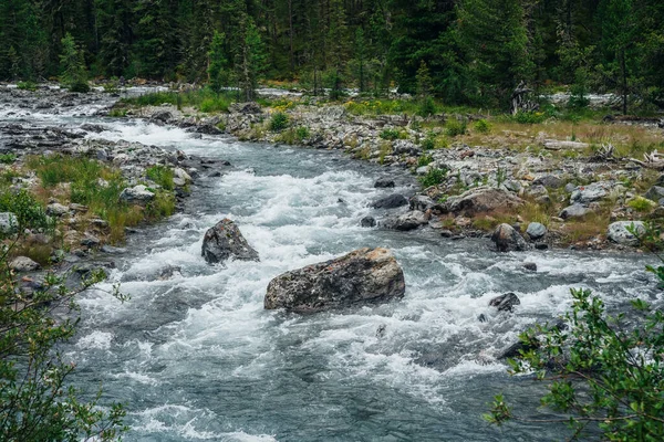 Poderoso Río Montaña Fluye Través Del Bosque Hermoso Paisaje Alpino — Foto de Stock