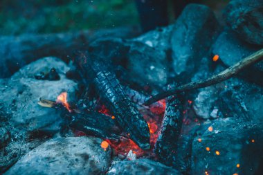 Yanan odun odunları yakın plan ateşte yanmış. Atmosferik sıcak arka plan, turuncu kamp ateşi ve mavi duman. Şenlik ateşinin tam kare görüntüsü. Közlerin güzel kasırgası ve küller havada
