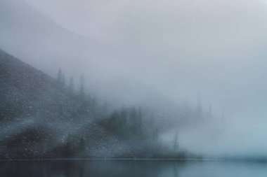 Sakin dağ gölü ve yoğun sis altında kozalaklı ağaçlarla dolu dik yamaçtan oluşan hayalet atmosferik bir manzara. Düşük bulutlu ve sakin suyu olan minimalist bir manzara. Sisli sabahın erken saatlerinde gizemli bir yer..